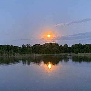 Meet your Posher, Missi